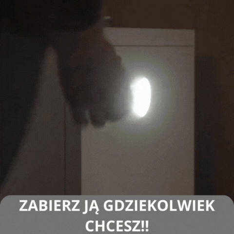 Zaufaj SafeBeam – niezawodne światło z czujnikiem ruchu i wodoodpornością IP44